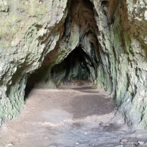 Jaskinia Stajnia - jaskinia stajnia 19