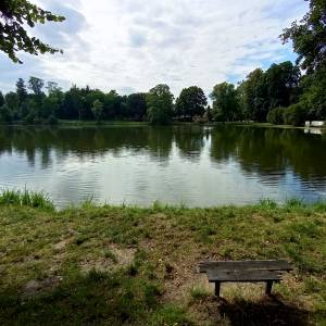 Staw "Irydion" w Złotym Potoku - staw irydion w zlotym potoku 1