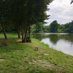 Staw "Irydion" w Złotym Potoku - staw irydion w zlotym potoku 6