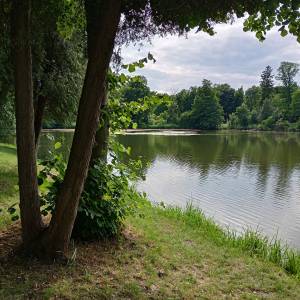 Staw "Irydion" w Złotym Potoku - staw irydion w zlotym potoku 8