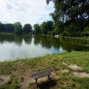 Staw "Irydion" w Złotym Potoku - staw irydion w zlotym potoku 9