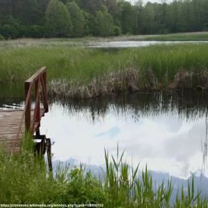 Park Krajobrazowy Stawki - park krajobrazowy stawki staw 24 05 2020 p