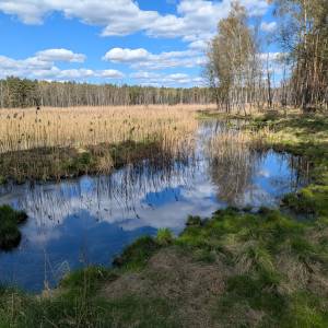 Jezioro Głęboki Dół - jezioro gleboki dol 2026 04 26 3