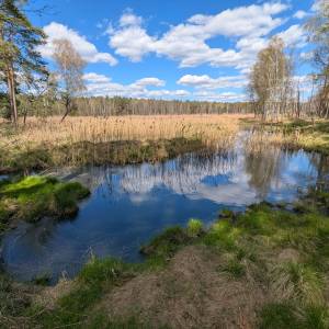 Jezioro Głęboki Dół - jezioro gleboki dol 2026 04 26 6
