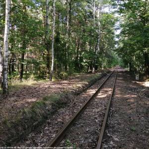 GKW - Stacja Miasteczko Śl. Zalew Wąsk. - miasteczko slaskie zalew dawna lokalizacja