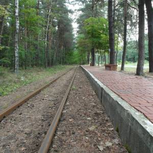 GKW - Stacja Miasteczko Śl. Zalew Wąsk. - sam 4176