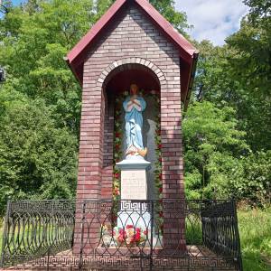 Kapliczka maryjna w Przyłęku - kapliczka maryjna w przyleku 9