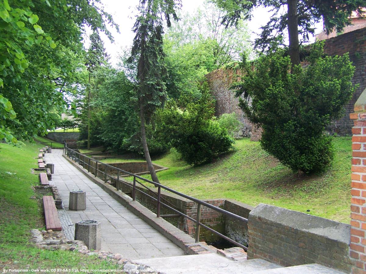 Park miejski w Byczynie - park miejski w byczynie 2