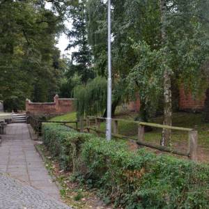 Park miejski w Byczynie - park miejski w byczynie 1