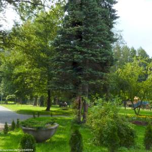 Park miejski w Byczynie - park miejski w byczynie 3