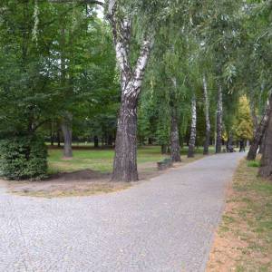 Park miejski w Byczynie - park miejski w byczynie 6