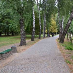 Park miejski w Byczynie - park miejski w byczynie 7