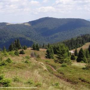 Gorc (1228 m n.p.m.) - gorc g44