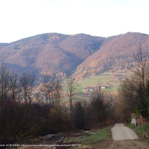 Gorc (1228 m n.p.m.) - pasterski wierch g38