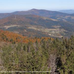 Gorc (1228 m n.p.m.) - widok z gorca g45