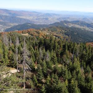 Gorc (1228 m n.p.m.) - widok z gorca g45 4