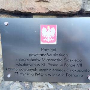 Pomnik Powstańców Śląskich w Żyglinie - pomnik powstancow slaskich w zyglinie 6