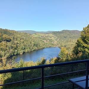 Zamek Dolny w Wiśle - zamek dolny w wisle 9