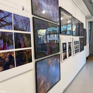 Tarnogórskie Centrum Kultury - tarnogorskie centrum kultury 4