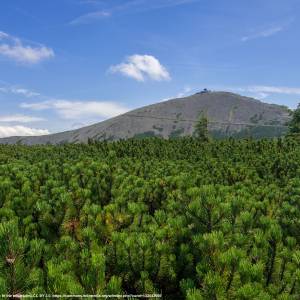 Śnieżka (1602 m n.p.m.) - sniezka 1602 m n p m 2