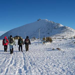 Śnieżka (1602 m n.p.m.) - sniezka 1602 m n p m 8