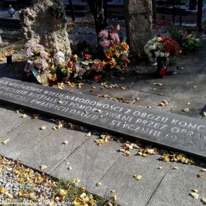 Pomnik Martyrologii Więźniów Oświęcimskich w Prudniku - pomnik martyrologii wiezniow oswiecimskich w prudniku 5