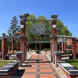 Pomnik Foki Depki w Niechorzu - pomnik foki depki w niechorzu 2