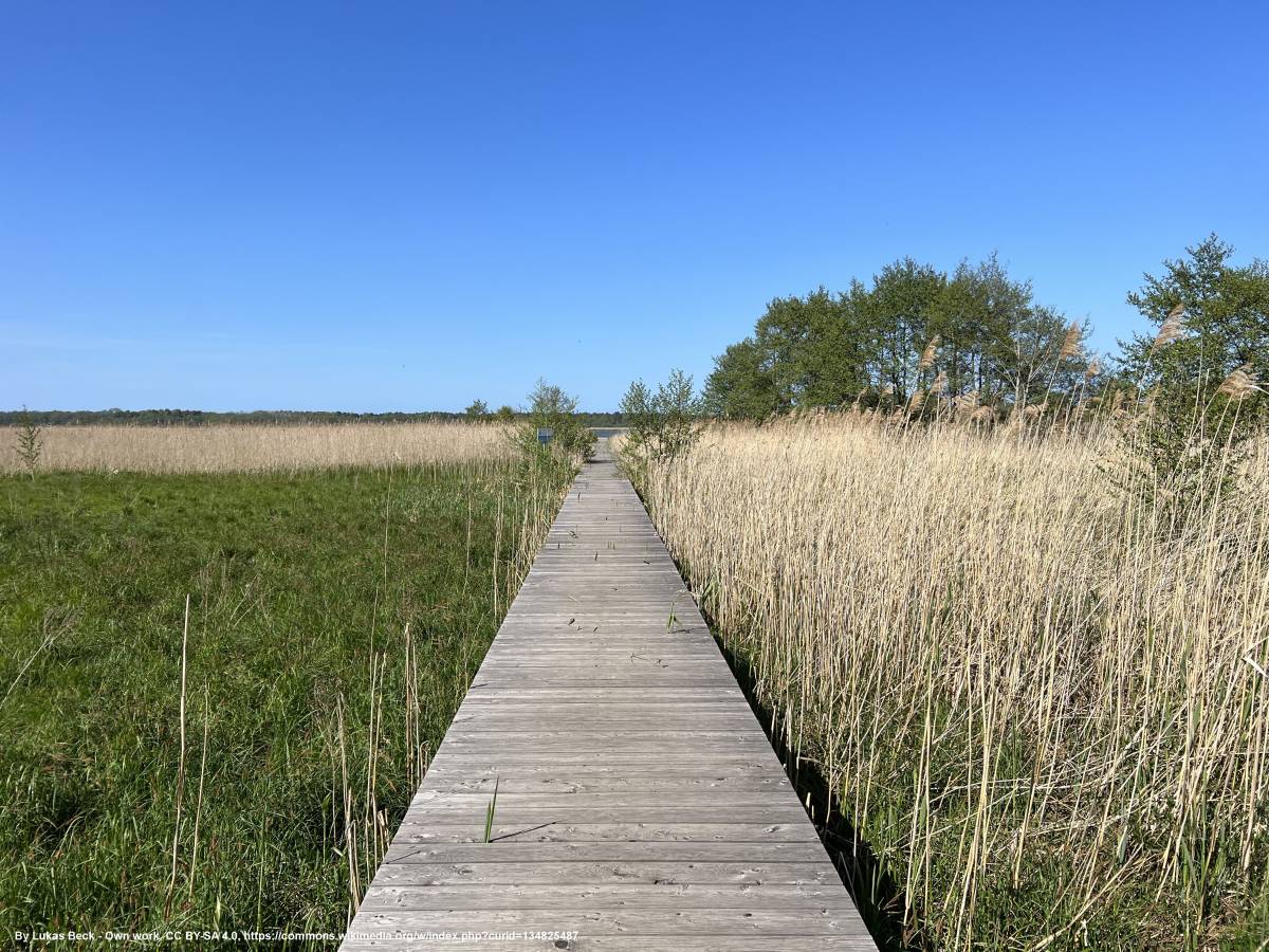 Jezioro Liwia Łuża - jezioro liwia luza