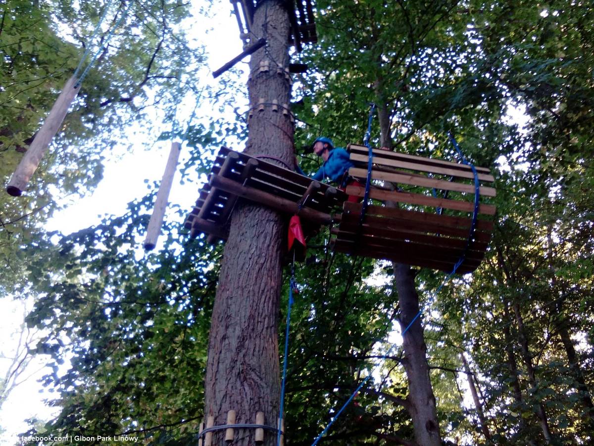 Park linowy "Gibon" w Rewalu - park linowy gibon w rewalu 2