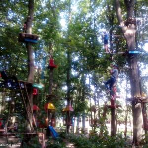 Park linowy "Gibon" w Rewalu - park linowy gibon w rewalu 1