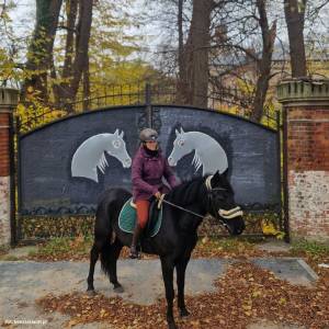 Stadnina "Koński Kierat" w Rewalu - stadnina konski kierat 1