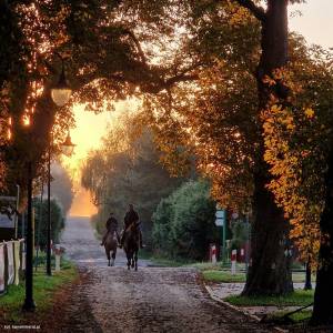 Stadnina "Koński Kierat" w Rewalu - stadnina konski kierat 2