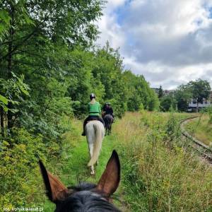 Stadnina "Koński Kierat" w Rewalu - stadnina konski kierat 4