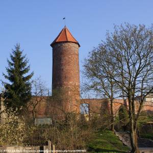 Baszta Kaszana (Baszta Prochowa) w Trzebiatowie - baszta kaszana baszta prochowa w trzebiatowie 5