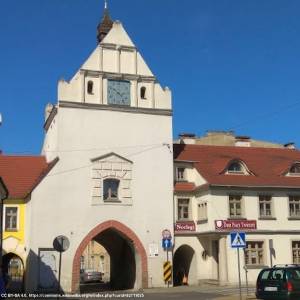 Brama Kamienna w Gryficach - brama kamienna w gryficach 1