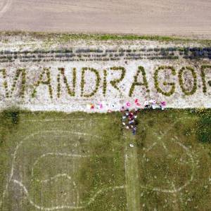 Park Edukacji i Rekreacji "Mandragora" - park edukacji i rekreacji mandragora 1