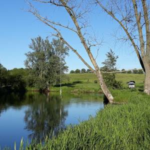 Park Edukacji i Rekreacji "Mandragora" - park edukacji i rekreacji mandragora 4