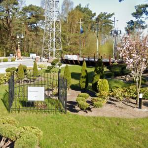 Dąb Papieża Franciszka w Pustkowie - dab papieza franciszka w pustkowie