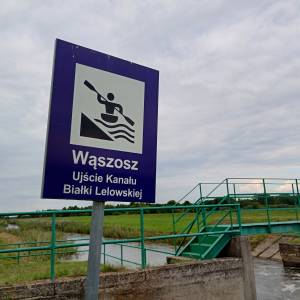 Jaz na Pilicy w Wąsoszu - jaz na pilicy w wasoszu 6