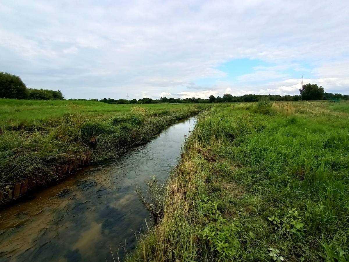 Dzikie kąpielisko w Wąsoszu - dzikie kapielisko na rzece bialce w wasoszu 1