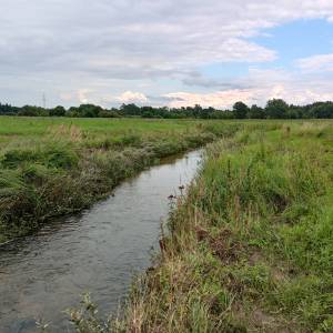 Dzikie kąpielisko w Wąsoszu - dzikie kapielisko na rzece bialce w wasoszu 4