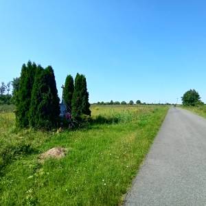Krzyż przydrożny w Wąsoszu - krzyz przydrozny w wasoszu 4