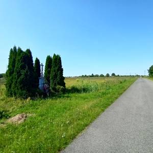 Krzyż przydrożny w Wąsoszu - krzyz przydrozny w wasoszu 5