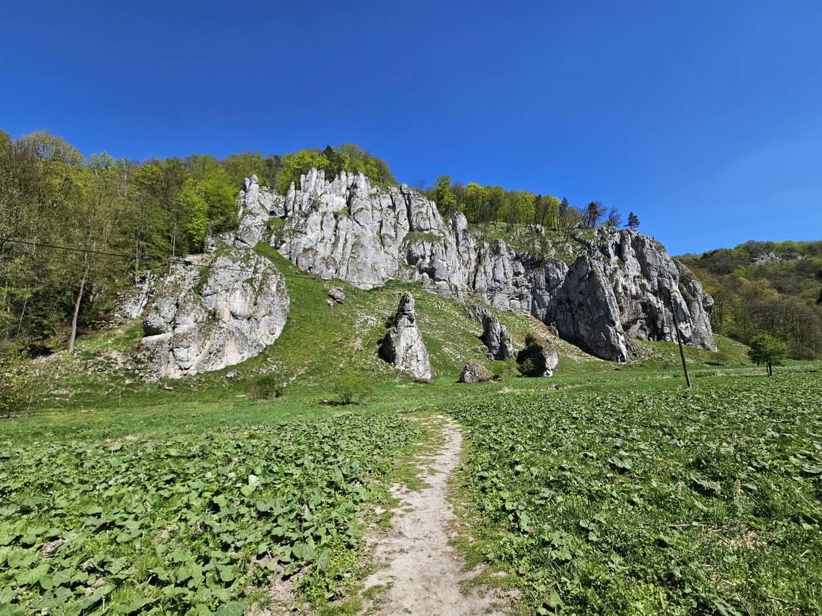 Góra Koronna (438 m n.p.m.) - gora koronna 438 m n p m 3