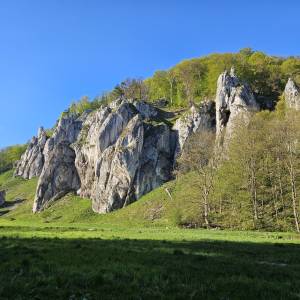 Góra Koronna (438 m n.p.m.) - gora koronna 438 m n p m 14