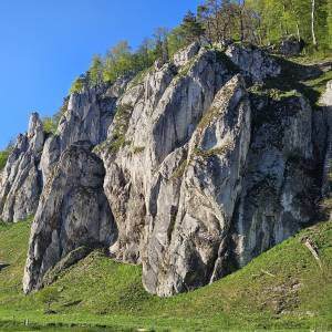 Góra Koronna (438 m n.p.m.) - gora koronna 438 m n p m 15