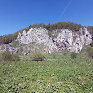 Góra Koronna (438 m n.p.m.) - gora koronna 438 m n p m 19