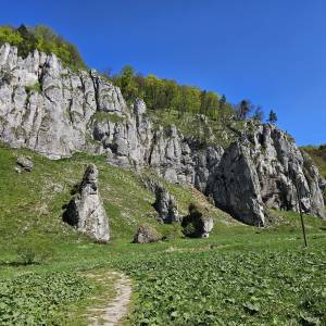 Góra Koronna (438 m n.p.m.) - gora koronna 438 m n p m 5
