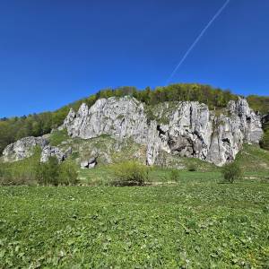 Góra Koronna (438 m n.p.m.) - gora koronna 438 m n p m 6