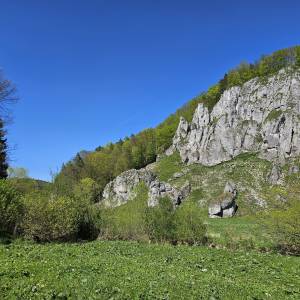 Góra Koronna (438 m n.p.m.) - gora koronna 438 m n p m 8
